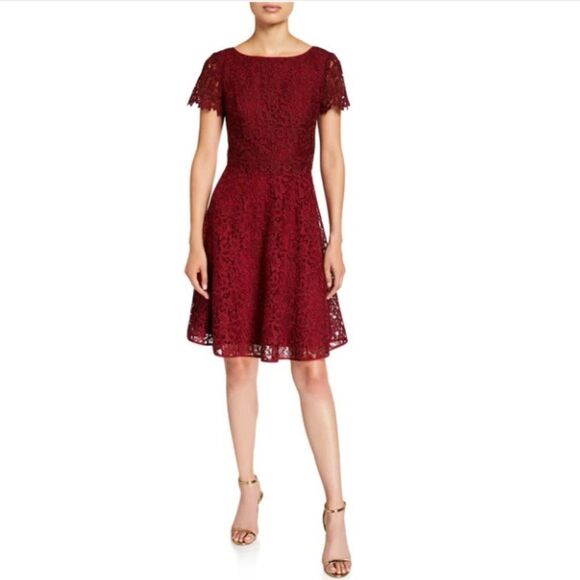 Shani Collection Women's Plus Fit and Flare Popover Lace Dress - 14